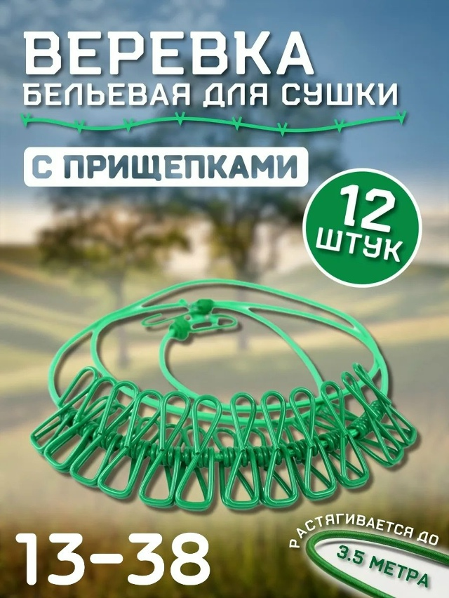 Spa ProBrush